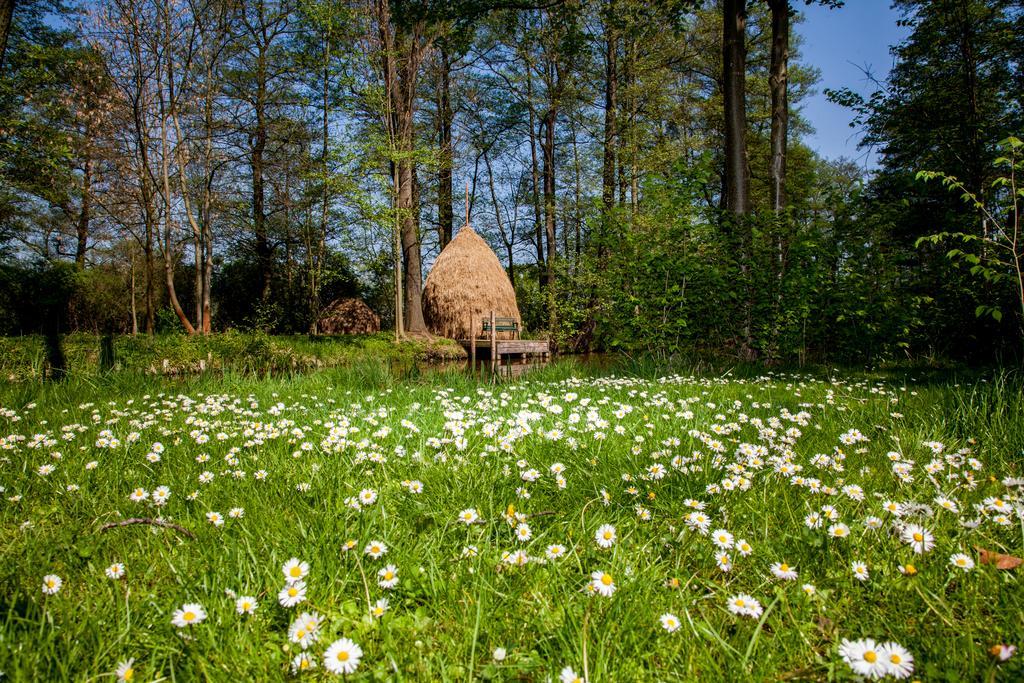Hotel Zum Stern Spreewald Werben  Bagian luar foto